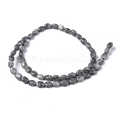 Natural Map Stone/Picasso Stone/Picasso Jasper Bead Strands&nbsp;G-Z006-A27