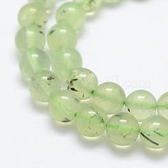Natural Prehnite Beads Strands&nbsp;G-P322-47-8mm