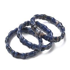 Bamboo Natural Sodalite Beads Stretch Bracelets for Women Men&nbsp;BJEW-K304-01E