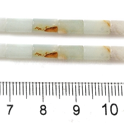 天然フラワーアマゾナイトビーズ連売り  コラム  8x4mm  穴：0.7mm  約48個/連  15.35~15.43''（39~39.2センチメートル）&nbsp;G-B091-A08-01