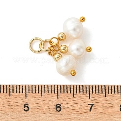 Natural Cultured Freshwater Pearl Pendants&nbsp;PALLOY-JF05528