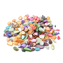染色天然淡水貝チップビーズ 50g  穴なし/ドリルなし  ミックスカラー  3~19x1~8mm&nbsp;BSHE-YW0001-04