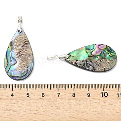 天然パウアシェルペンダント  ティアドロップ型チャーム、真鍮製ピンチベイル付き  銀色のメッキ  カラフル  43x19.5x2.5mm  穴：2.5x4.5mm&nbsp;PALLOY-JF05908