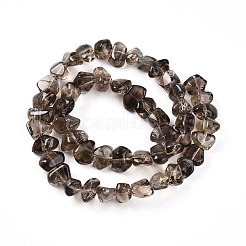 Natural Smoky Quartz Beads Strands&nbsp;G-B072-C01-01-01