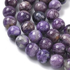 Natural Charoite Beads Strands&nbsp;G-C270-O02-10