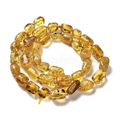 Natural Amber Beads Strands&nbsp;G-L095-F01-01