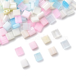 100Pcs 10 Styles 2-Hole Glass Seed Beads&nbsp;SEED-FS0001-45