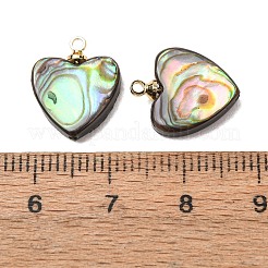 天然アワビ貝ペンダント  真鍮パーツ  ハートチャーム  15x12x3mm  穴：1.2mm&nbsp;SH-CJC0AC7-01F-G