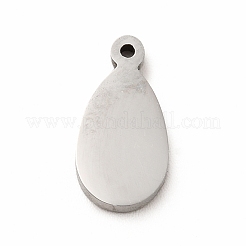 304 Stainless Steel Enamel Charms&nbsp;STAS-A078-05P