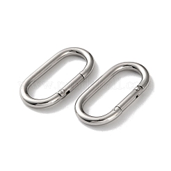 304 Stainless Steel Spring Gate Clasps&nbsp;STAS-A193-01P