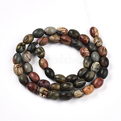 Natural Picasso Jasper/Polychrome Jasper Beads Strands&nbsp;G-N346-02B-05