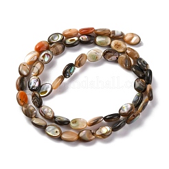 Natural Paua Shell Beads Strands&nbsp;BSHE-B007-06