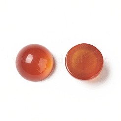 天然石赤瑪瑙カボション  染め＆加熱  半円  6x3~3.5mm&nbsp;G-G994-J03-01