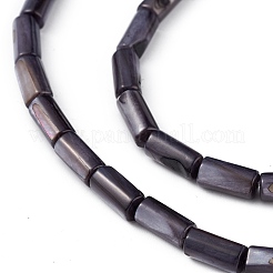 天然淡水貝殻染めビーズ連売り  コラム  ブラック  8x4mm  穴：0.8mm  約46個/連  14.96''（38センチメートル）&nbsp;SHEL-M018-11-09