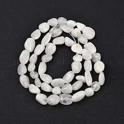 Natural Rainbow Moonstone Beads Strands&nbsp;G-G018-48-01