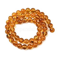 Natural Amber Beads Strands&nbsp;G-L095-B01-8mm-02