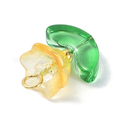ガラスのペンダント  金合金ループ付き  花のチャーム  ミックスカラー  19x14x10mm  穴：2.5mm&nbsp;PALLOY-TA00095
