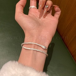 女性用合金カフバングル  ヘビ  銀  内径：2-1/2インチ（6.5cm）&nbsp;FS-WGE8895-01