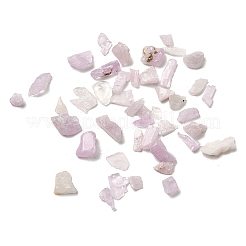 Natural Kunzite Beads&nbsp;G-Z099-A01