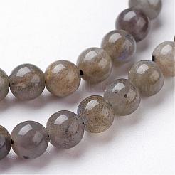 天然石ラブラドライトビーズ連売り  ラウンド  6mm  穴：1mm  約64個/連  15.3インチ（390mm）&nbsp;G-J352-01-6mm
