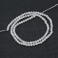 Natural Rainbow Moonstone Beads Strands&nbsp;G-E411-08-4mm