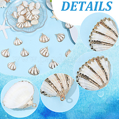 30Pcs Electroplated Natural Shell Pendants&nbsp;SSHEL-SC0001-60