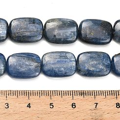Natural Kyanite Beads Strands&nbsp;G-H335-I01-12x16mm