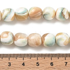 Natural Seashell Shell Beads Strands&nbsp;SH-CBAFEDD-01B