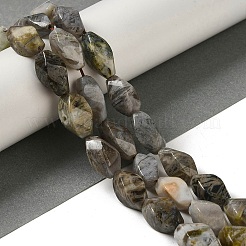 天然石バンブーアゲート竹葉瑪瑙ビーズ連売り  ツイスト  9x16.5~17x9~9.5mm  穴：1mm  約23~24個/連  15.47~15.55''（39.3~39.5センチメートル）&nbsp;G-NH0014-D01-01