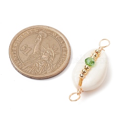 7Pcs 7 Colors Natural Cowrie Shell & Faceted Glass & Brass Bead Connetctor Charms&nbsp;PALLOY-JF02665