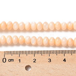 Natural Freshwater Shell Beads Strands&nbsp;SSHEL-C013-07H