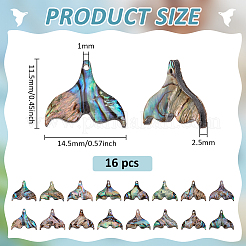 天然パウア貝のクジラのしっぽチャーム16個  カラフル  11.5x14.5x2.5mm  穴：1mm&nbsp;SHEL-BC0001-045