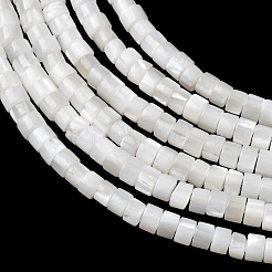 Natural Freshwater Shell Beads Strands&nbsp;SHEL-K006-72C