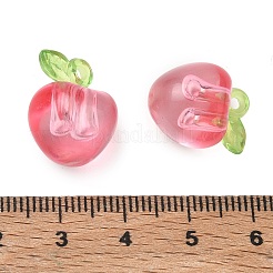 Transparent Acrylic Pendants&nbsp;AC-CBA97EB-05B