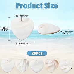 20Pcs Natural Freshwater Shell Pendants&nbsp;SHEL-SC0001-96