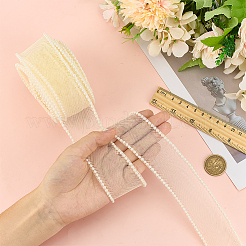Polyester Ribbon&nbsp;OCOR-WH0816-058D