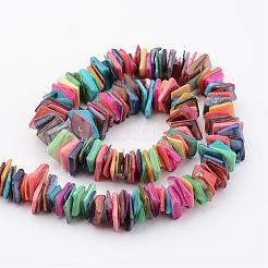 Natural Shell Bead Strands&nbsp;BSHE-P021-01