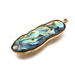304 Stainless Steel Pave Natural Paua Shell Pendants&nbsp;STAS-Z125-01C-G