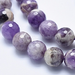 Natural Amethyst Beads Strands&nbsp;G-K256-52-12mm