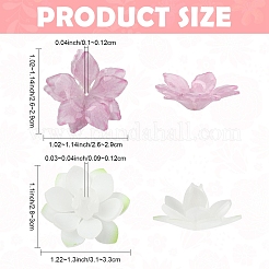 熱収縮アクリルビーズキャップ5個  マルチ花弁花  コーンフラワーブルー  26~29x26~29x7~9mm  穴：1~1.2mm&nbsp;OACR-YW0004-53C