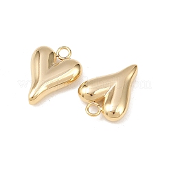 304 Stainless Steel Pendants&nbsp;STAS-A076-13G-02