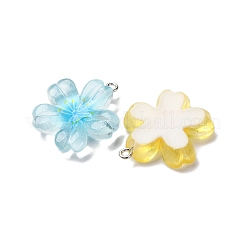 Transparent Resin Pendants&nbsp;RESI-A046-05B
