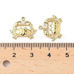 304 Stainless Steel Pendants&nbsp;STAS-C134-06A-G