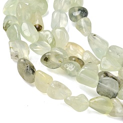 Natural Prehnite Beads Strands&nbsp;G-C286-A23