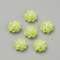 Imitation Pearl Resin Cabochons&nbsp;X-CRES-S301-24