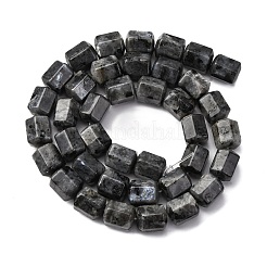 天然ラルビカイトビーズ連売り  六角プリズム  10~11x9~10mm  穴：0.8mm  約39~40個/連  15.16''~15.55''（38.5~39.5センチメートル）&nbsp;G-R015-A04