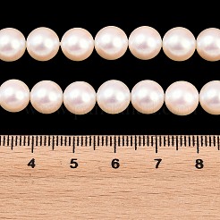 電気めっきシェルパールビーズ連売り  スムーズなラウンド  ミスティローズ  8mm  穴：0.8mm  約48個/連  15.94インチ（40.5cm）&nbsp;BSHE-C011-01B