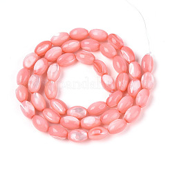 Natural Trochus Shell Beads Strands&nbsp;SHEL-K006-19-01E
