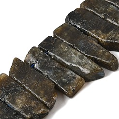 Natural Larvikite Beads Strands&nbsp;G-S386-D10