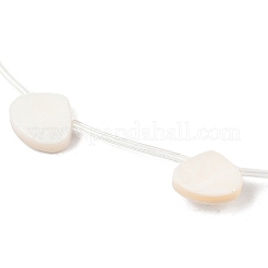 Natural Freshwater Shell Beads Strands&nbsp;SHEL-B005-05